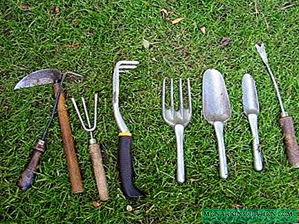 إزالة الأعشاب الضارة دون مواد كيميائية: 9 الأدوات الأساسية