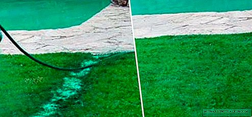 What is a liquid lawn and how much does it cost