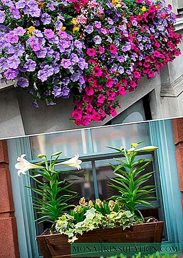 Blomster uden for vinduet: hvordan man dekorerer et hus udenfor