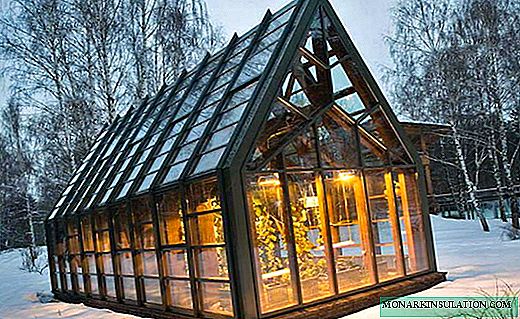 The house of the sun in your garden: the greenhouse as a work of art