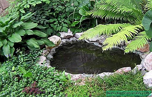 How to make a country pond from an old basin step by step