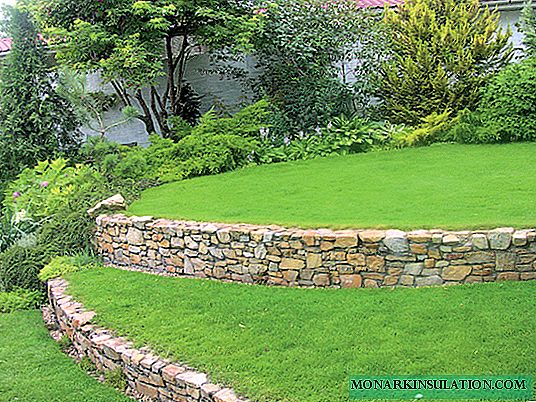 Čudovit vrt ob hribu: obdržane ideje za stene za poševno zemljišče