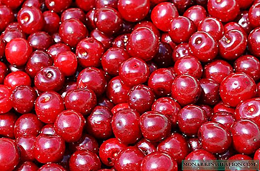 Useful properties of cherries and its harm
