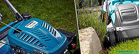 Lawn Mower Rating: Choosing the Best