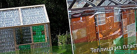 Greenhouse from plastic bottles: step by step instructions