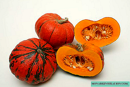 Pumpkin Sweetie: kultivační funkce