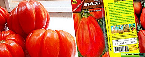 Cabana de tomate Puzata: vantagens e desvantagens da variedade, descrição, plantio e cuidados