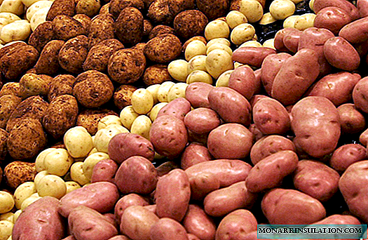 Variedades de batata colhidas