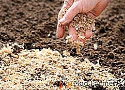 Môžem používať piliny ako hnojivo v záhrade a na záhrade?