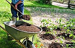 Puis-je fertiliser le jardin avec des excréments