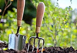 Odabir izvorskog gnojiva za vrt