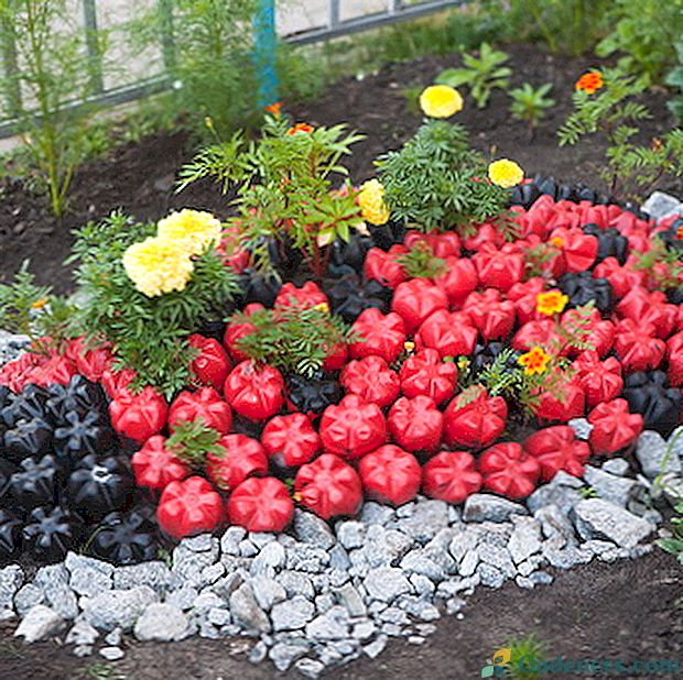 Идеје за кориштење пластичних боца у башти