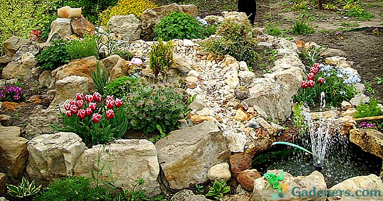 Kameny pro stavbu alpského sklíčka, jak a jaký kámen zvolit?