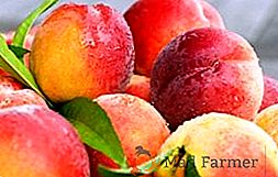 Особенности осенней посадки персика
