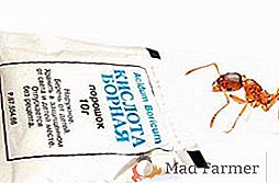 Aplikace kyseliny borité v zemi: jak se zbavit mravenců na zahradě