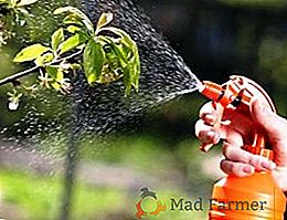 Lidové prostředky pro ochranu zahrady a zeleninové zahrady před škůdci: tabákový prach, bramborové a rajčatové topy