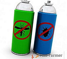 Liste des insecticides les plus populaires avec des descriptions et des photos