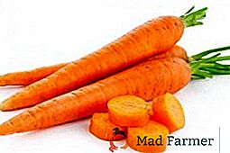 Доказани методи за борба с болестта на морковите