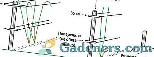 Шпалера для ремонтантной малины размеры чертеж