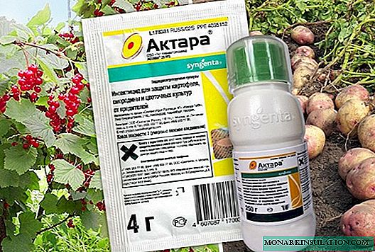 Aktara pour les plantes d'intérieur: instructions et méthodes de divorce