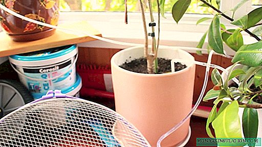 Do-it-yourself automatic watering for indoor plants