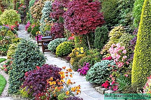Flowering trees and ornamental shrubs for the garden