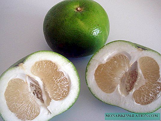Feijoa est un fruit ou une baie - où il pousse et à quoi il ressemble