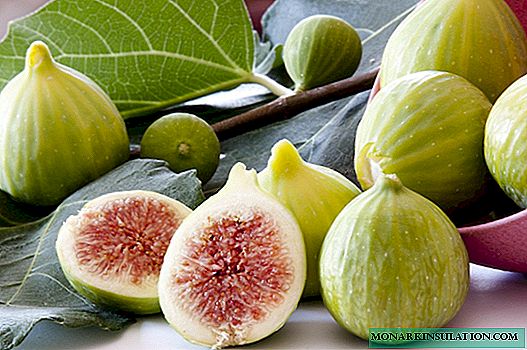 Figs - home growing