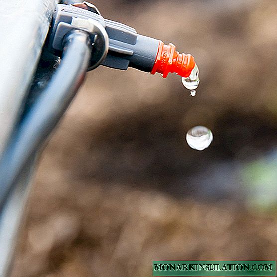 Irrigação por gotejamento DIY para plantas de interior
