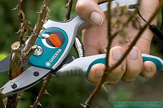 When to prune trees and how to cover cuts on fruit trees
