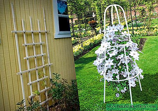 DIY clematis support - ideas for coasters