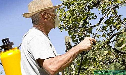 Spraying fruit trees in spring before and after flowering
