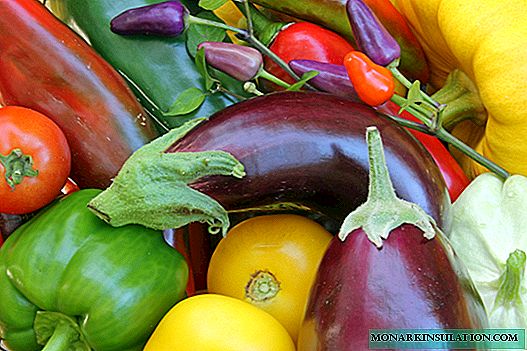 Solanaceous grönsaker - lista över växtnamn