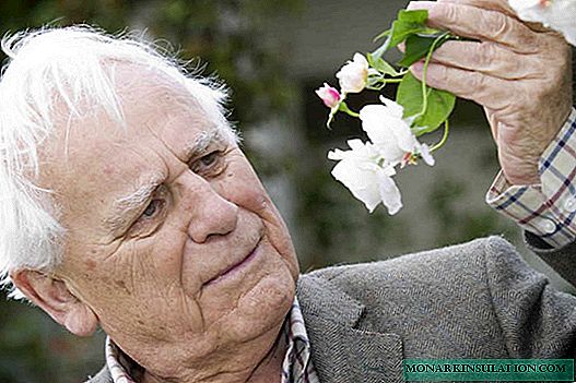 ديفيد أوستن الورود - الأصناف الأكثر شعبية