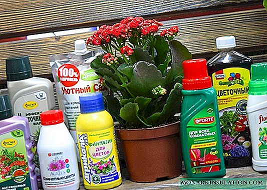 Düngemittel für Zimmerpflanzen: Sorten und Fütterungsregeln