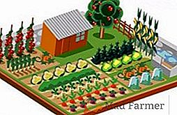 Rotația culturilor de legume: ce să planteze, cum să planificați culturile în mod corect