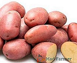 Отглеждане на картофи "Розари": правила за засаждане и грижи