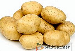 Variedade de batata "Sorte": precoce, estável, rendendo