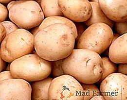 Sabor y cosecha: variedad de patata Zhukovsky temprano
