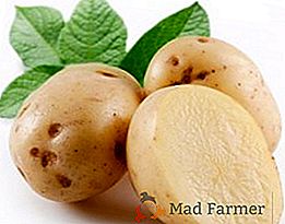 As melhores variedades de batata para crescer na Sibéria