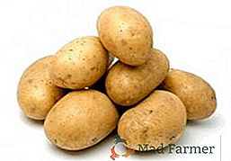 Variété de pommes de terre finlandaise Timo