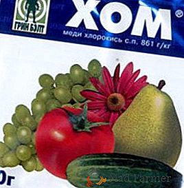 Comment appliquer la préparation "Hom" à partir de maladies des tomates, des concombres et des pommes de terre