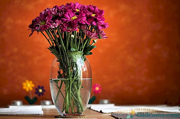 Какво да добавите към водата, така че хризантемите да стоят по-дълго във вазата