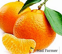 Todas las propiedades útiles de tangerinas y contraindicaciones