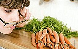 Utilisation de carottes, dommages et propriétés du produit
