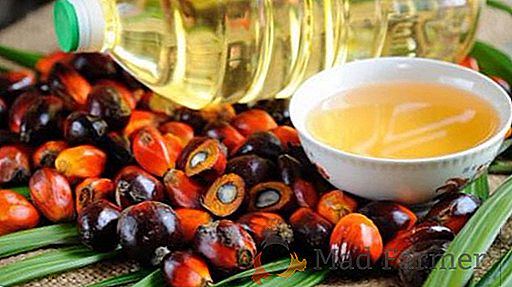 En janvier 2017, la Russie a considérablement réduit les importations d'huile de palme