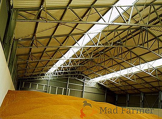 Baixas taxas de exportação de grãos na Rússia ameaçam campanha de pouso
