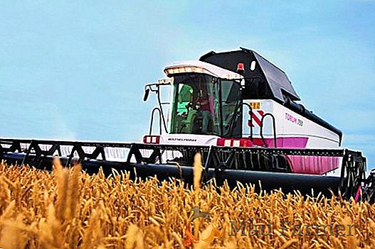 È improbabile che la Russia ripeta il raccolto record di grano nel 2017