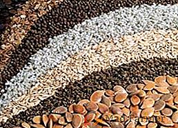 Procesul de scarificare: ce este, cum să sămânți în mod corespunzător semințele