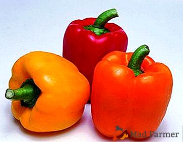 9 lahodných bulharských papriek. Ako si vybrať najlepšiu odrodu?